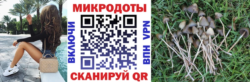 Купить где  Сибай  Псилоцибиновые грибы прущие грибы 